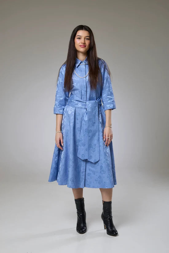 Sky Blue Petals Sleeved Dress